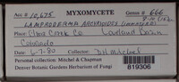 Image Associated With the Occurence